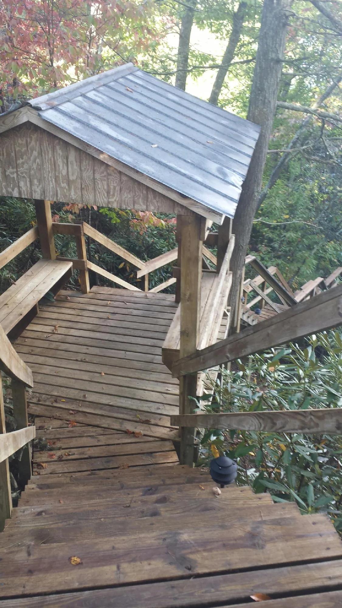 Metal roofed shelter over wooden steps on a wooded walkway — Skylight Repair & Installation work by our crew in Olivia